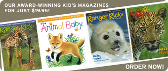 Our award winning magazines make great gifts for kids!